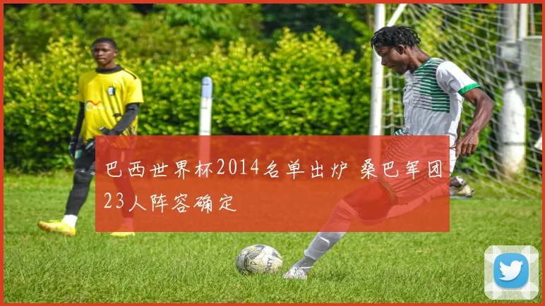 巴西世界杯2014名单出炉 桑巴军团23人阵容确定