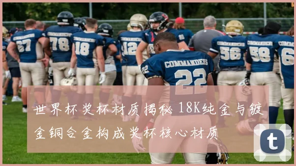 世界杯奖杯材质揭秘 18K纯金与镀金铜合金构成奖杯核心材质