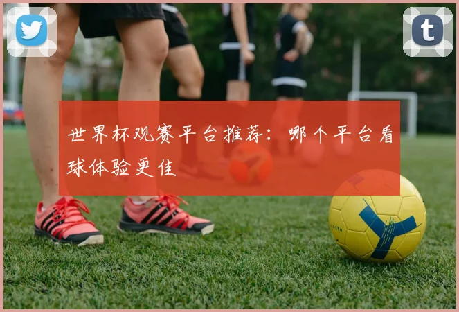 世界杯观赛平台推荐：哪个平台看球体验更佳