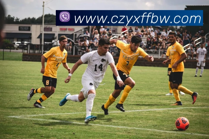 世界杯开户平台平台生态图