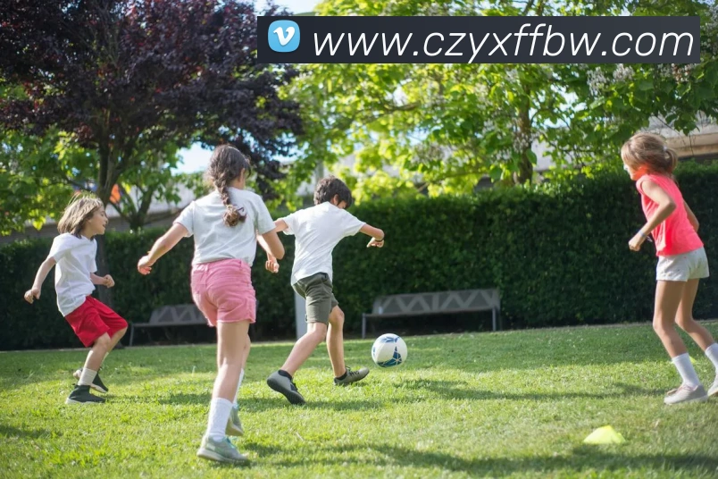 多彩内容专区